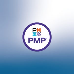 Project Management Professional (PMP) ®